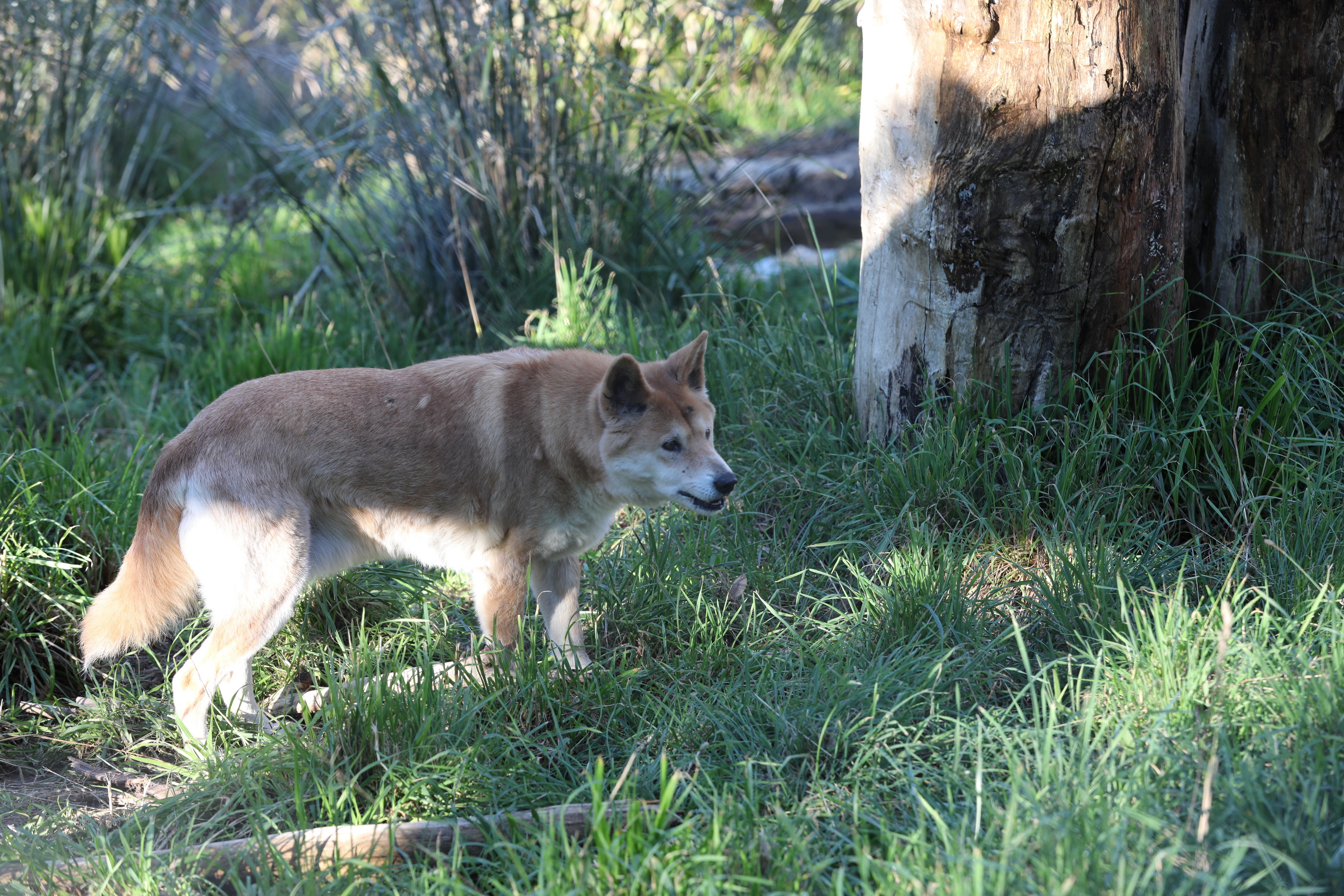 2019 07 19 15 51 34 Canon EOS 5D Mark IV 0050